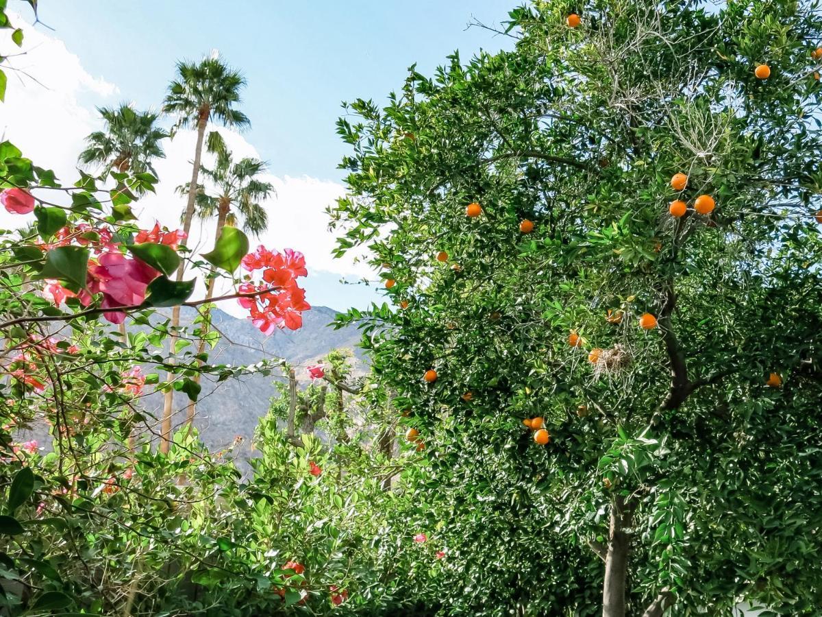 Villa Enjoy Life Permit# 3333 Palm Springs Exterior foto